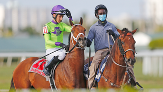Horse Racing Is Surprisingly Still Going, But Is This The End?